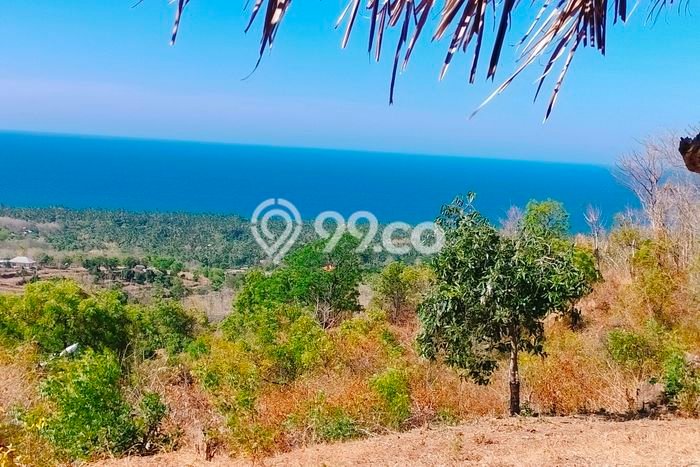 Tanah Dijual Lokasi Strategis di Buleleng dengan Luas 6900m2 Tanah Dijual Lokasi Strategis di Buleleng dengan Luas 6900m2