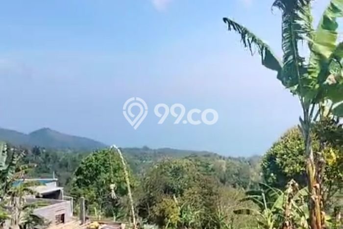 Dijual Tanah Lokasi Wanagiri, Buleleng Seluas 3900m2 Dijual Tanah Lokasi Wanagiri, Buleleng Seluas 3900m2