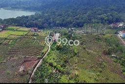 Tanah Investasi Dijual di Buleleng Punya Luas 5000m2 Tanah Investasi Dijual di Buleleng Punya Luas 5000m2