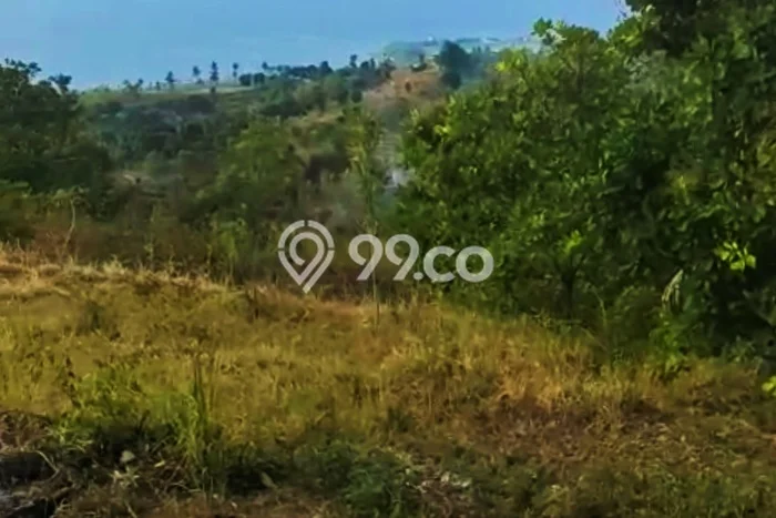 Untuk Dijual Tanah 17400m2 di Cempaga, Buleleng Untuk Dijual Tanah 17400m2 di Cempaga, Buleleng