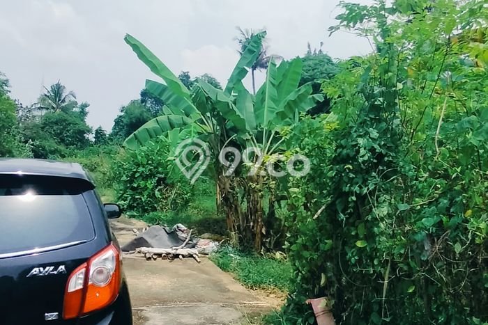 Kavling Tanah di Sukasada Dijual Luas 300m2 Legalitas SHM Kavling Tanah di Sukasada Dijual Luas 300m2 Legalitas SHM