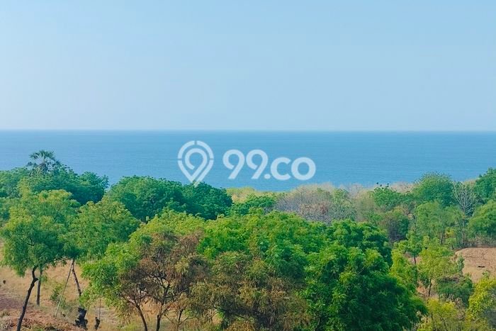 Tanah Kavling untuk Dijual di Kubutambahan Buleleng 2980m2 Tanah Kavling untuk Dijual di Kubutambahan Buleleng 2980m2