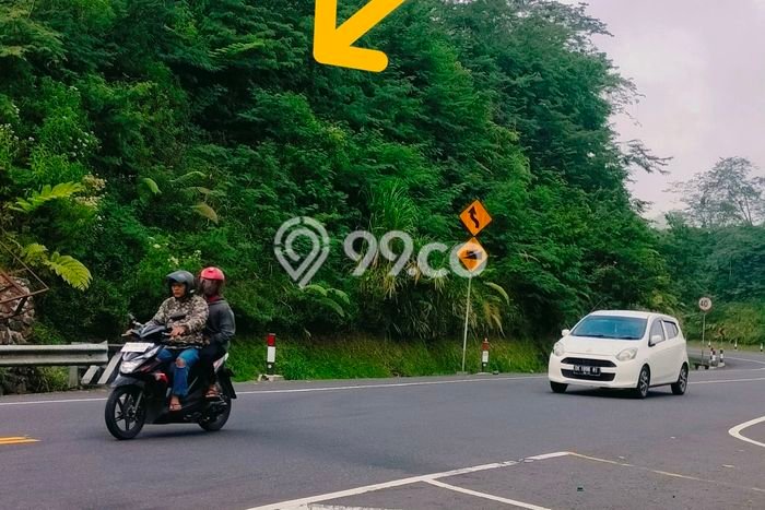 Dijual Tanah Lokasi Gitgit, Buleleng Seluas 1600m2 Dijual Tanah Lokasi Gitgit, Buleleng Seluas 1600m2