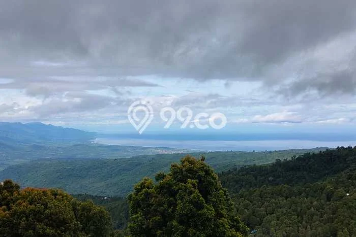 Untuk Dijual Tanah di Buleleng, Luas 9000m2 SHM Untuk Dijual Tanah di Buleleng, Luas 9000m2 SHM