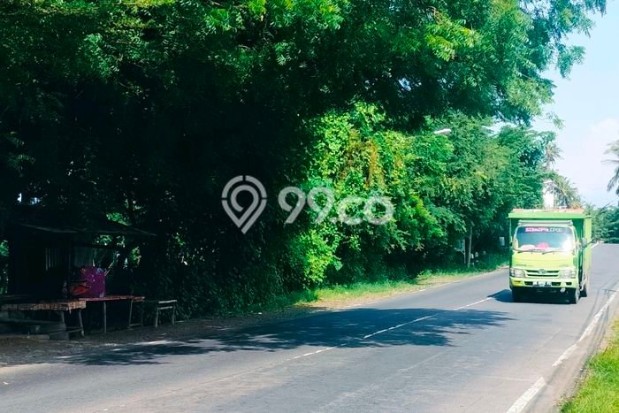 Tanah di Kubutambahan, Buleleng Luas 8600m2 Dijual Segera Tanah di Kubutambahan, Buleleng Luas 8600m2 Dijual Segera