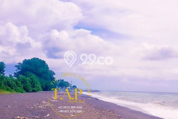 Tanah Kavling Dijual di Buleleng dengan Spesifikasi 6550m2 Tanah Kavling Dijual di Buleleng dengan Spesifikasi 6550m2