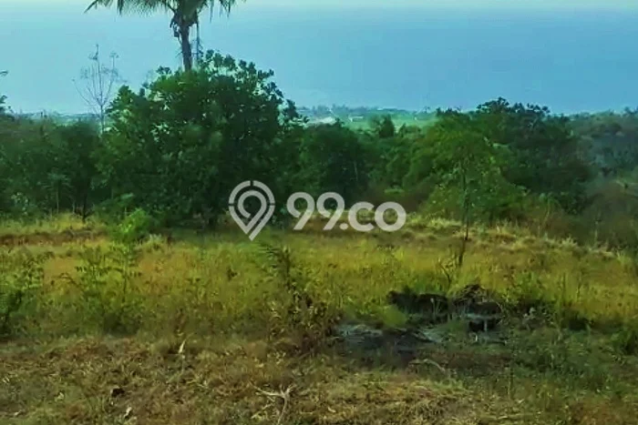 Tanah Investasi Dijual di Buleleng Punya Luas 13690m2 Tanah Investasi Dijual di Buleleng Punya Luas 13690m2