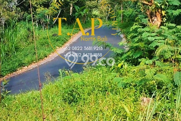 Tanah Dijual di Buleleng Seluas 5400m2 Strategis Tanah Dijual di Buleleng Seluas 5400m2 Strategis