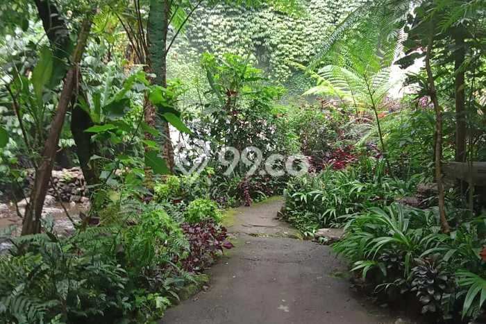 Tanah Kavling Dijual di Buleleng dengan Spesifikasi 10600m2 Tanah Kavling Dijual di Buleleng dengan Spesifikasi 10600m2