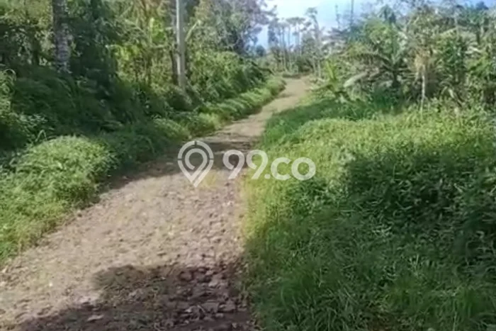 Dijual Tanah 26000m2 di Wanagiri, Buleleng Dijual Tanah 26000m2 di Wanagiri, Buleleng