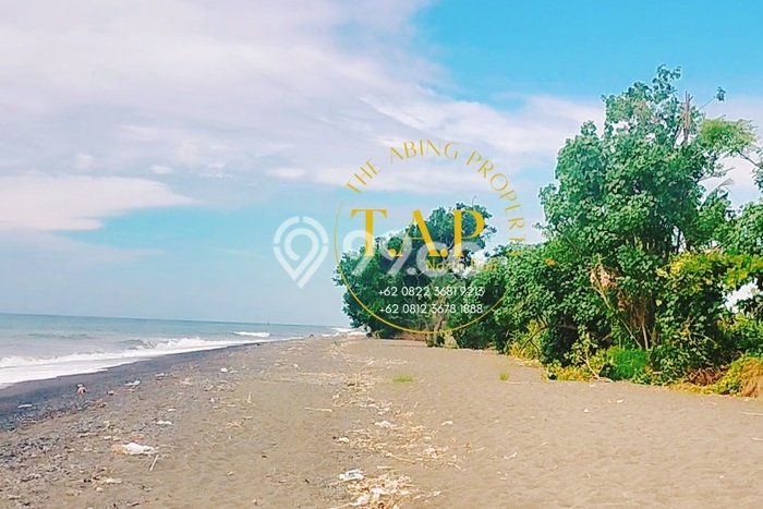 Tanah Kavling Dijual di Buleleng dengan Spesifikasi 6550m2 Tanah Kavling Dijual di Buleleng dengan Spesifikasi 6550m2