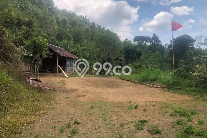Dijual Tanah 35000m2 di Galungan, Buleleng Dijual Tanah 35000m2 di Galungan, Buleleng