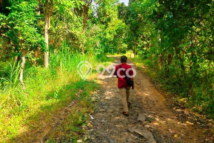 Tanah Siap Bangun Dijual di Buleleng Punya Luas 16700m2 Tanah Siap Bangun Dijual di Buleleng Punya Luas 16700m2