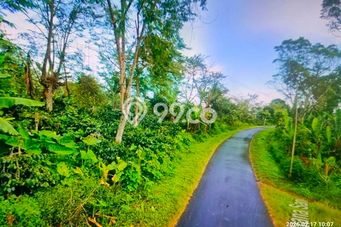Tanah Siap Bangun Dijual di Buleleng Punya Luas 2730m2 Tanah Siap Bangun Dijual di Buleleng Punya Luas 2730m2