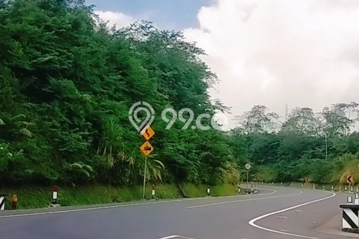 Dijual Tanah Lokasi Gitgit, Buleleng Seluas 1600m2 Dijual Tanah Lokasi Gitgit, Buleleng Seluas 1600m2