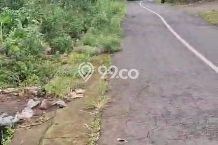 Tanah Dijual Area Strategis di Munduk Buleleng 6000m2 Tanah Dijual Area Strategis di Munduk Buleleng 6000m2