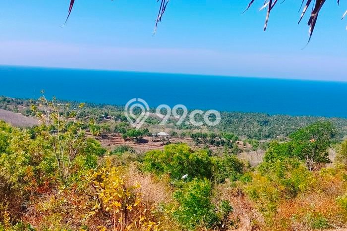 Tanah Dijual Lokasi Strategis di Buleleng dengan Luas 6900m2 Tanah Dijual Lokasi Strategis di Buleleng dengan Luas 6900m2
