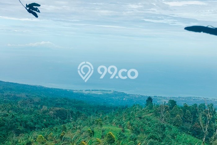 Lahan untuk Dijual Lokasi Sukasada, Buleleng Luas 25000m2 SHM Lahan untuk Dijual Lokasi Sukasada, Buleleng Luas 25000m2 SHM