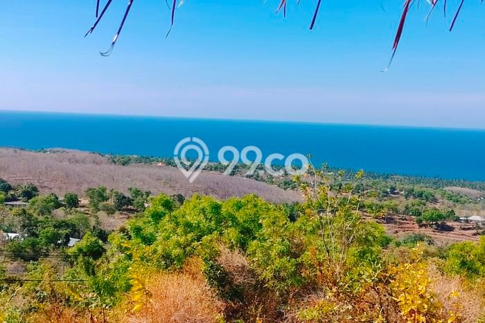 Tanah Dijual Lokasi Strategis di Buleleng dengan Luas 6900m2 Tanah Dijual Lokasi Strategis di Buleleng dengan Luas 6900m2