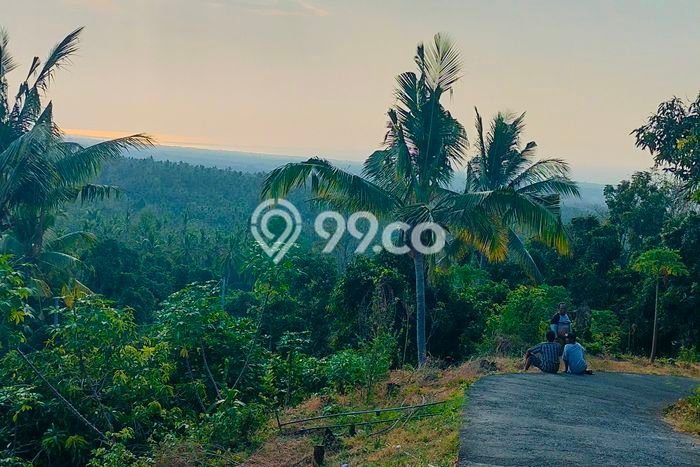 Tanah Dijual di Buleleng Seluas 2040m2 Strategis Tanah Dijual di Buleleng Seluas 2040m2 Strategis