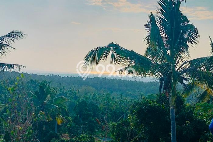 Tanah Dijual di Buleleng Seluas 2040m2 Strategis Tanah Dijual di Buleleng Seluas 2040m2 Strategis