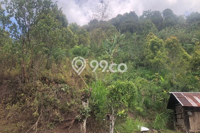 Dijual Tanah 35000m2 di Galungan, Buleleng Dijual Tanah 35000m2 di Galungan, Buleleng
