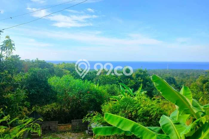 Tanah Kavling Dijual di Buleleng dengan Spesifikasi 3000m2 Tanah Kavling Dijual di Buleleng dengan Spesifikasi 3000m2