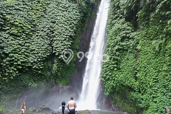 Tanah Kavling Dijual di Buleleng dengan Spesifikasi 10600m2 Tanah Kavling Dijual di Buleleng dengan Spesifikasi 10600m2