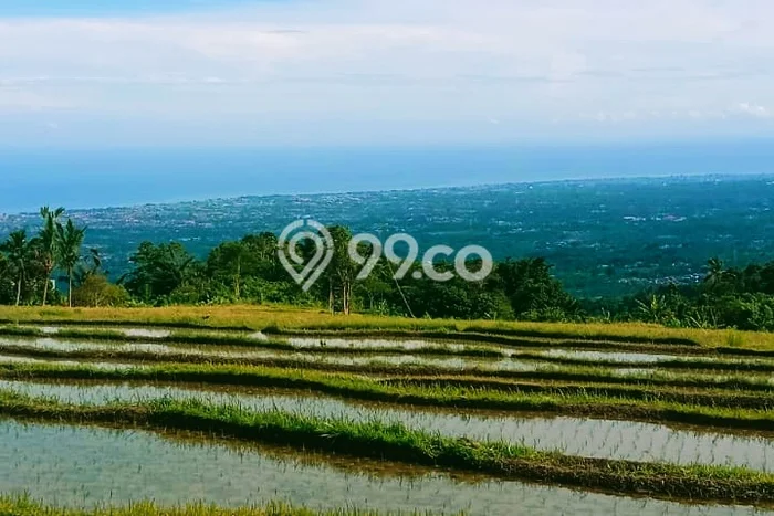 Dijual Tanah Lokasi Sambangan, Buleleng Seluas 3600m2 Dijual Tanah Lokasi Sambangan, Buleleng Seluas 3600m2