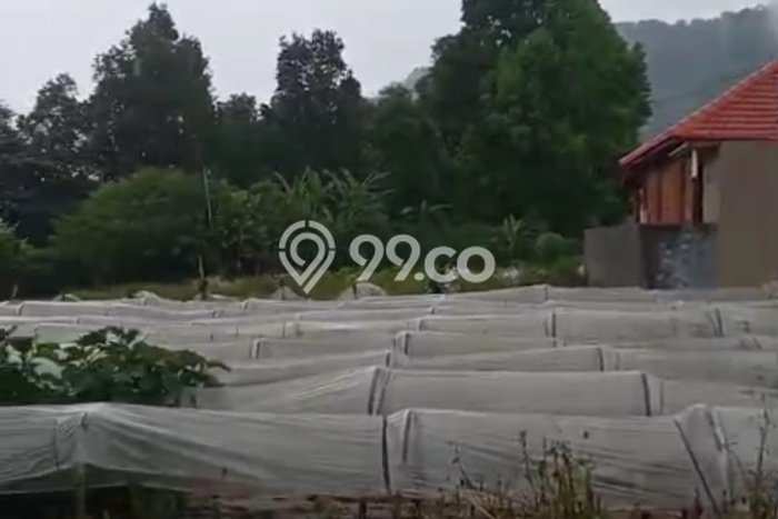 Untuk Dijual Tanah 391m2 di Bedugul, Tabanan Untuk Dijual Tanah 391m2 di Bedugul, Tabanan