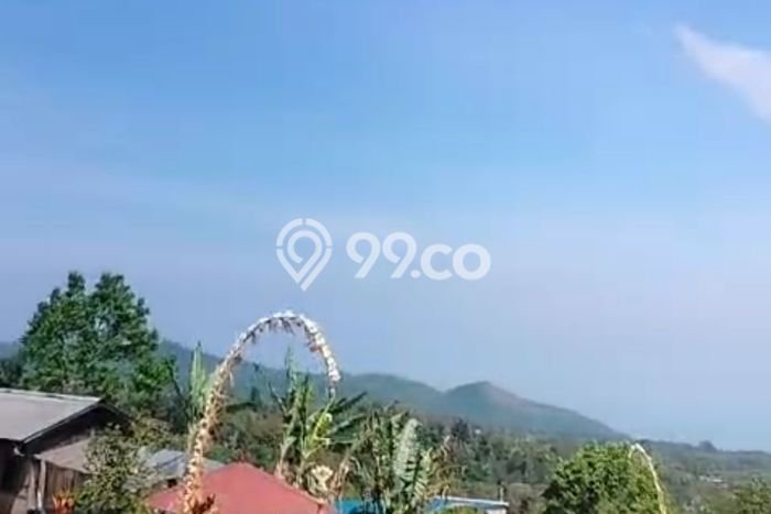 Dijual Tanah Lokasi Wanagiri, Buleleng Seluas 3900m2 Dijual Tanah Lokasi Wanagiri, Buleleng Seluas 3900m2