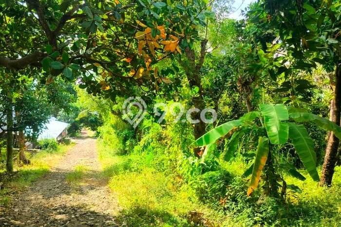 Tanah Siap Bangun Dijual di Buleleng Punya Luas 16700m2 Tanah Siap Bangun Dijual di Buleleng Punya Luas 16700m2