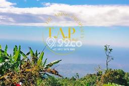 Tanah Dijual Area Strategis di Gobleg Buleleng 240m2 Tanah Dijual Area Strategis di Gobleg Buleleng 240m2