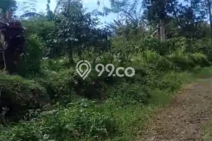 Dijual Tanah 26000m2 di Wanagiri, Buleleng Dijual Tanah 26000m2 di Wanagiri, Buleleng