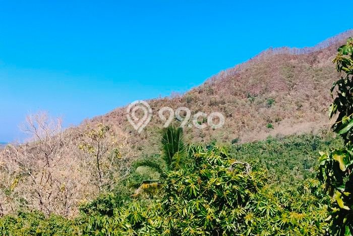 Kavling Tanah untuk Dijual di Madenan, Buleleng, Luas 2800m2 Kavling Tanah untuk Dijual di Madenan, Buleleng, Luas 2800m2