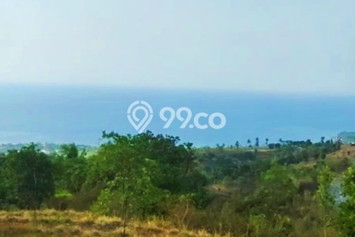 Tanah Investasi Dijual di Buleleng Punya Luas 13690m2 Tanah Investasi Dijual di Buleleng Punya Luas 13690m2