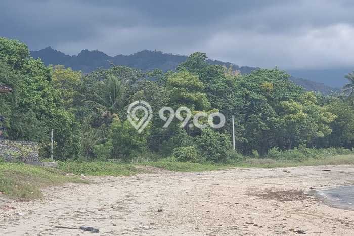 Untuk Dijual Tanah di Buleleng, Luas 23380m2 SHM Untuk Dijual Tanah di Buleleng, Luas 23380m2 SHM