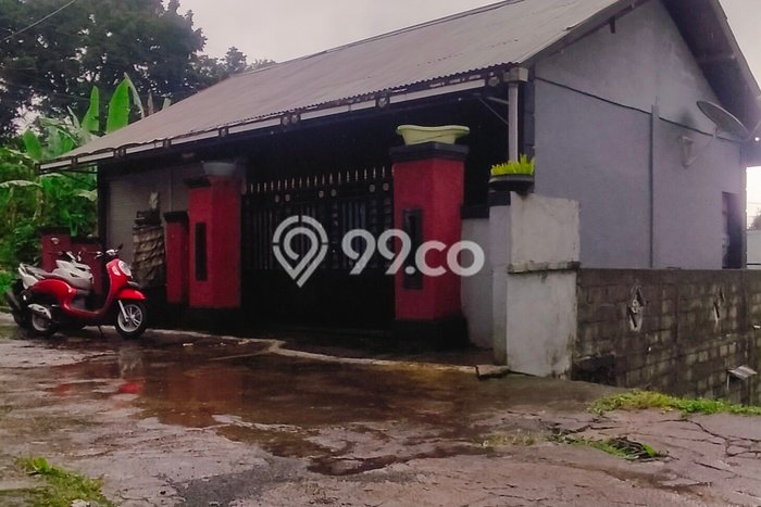 For Sale Hunian Rumah Terawat 2 KT di Wanagiri, Buleleng For Sale Hunian Rumah Terawat 2 KT di Wanagiri, Buleleng