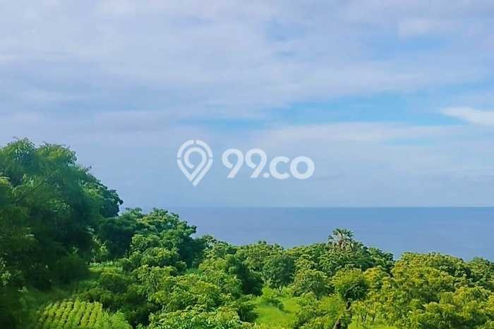 Tanah Kavling Dijual di Buleleng dengan Spesifikasi 8000m2 Tanah Kavling Dijual di Buleleng dengan Spesifikasi 8000m2