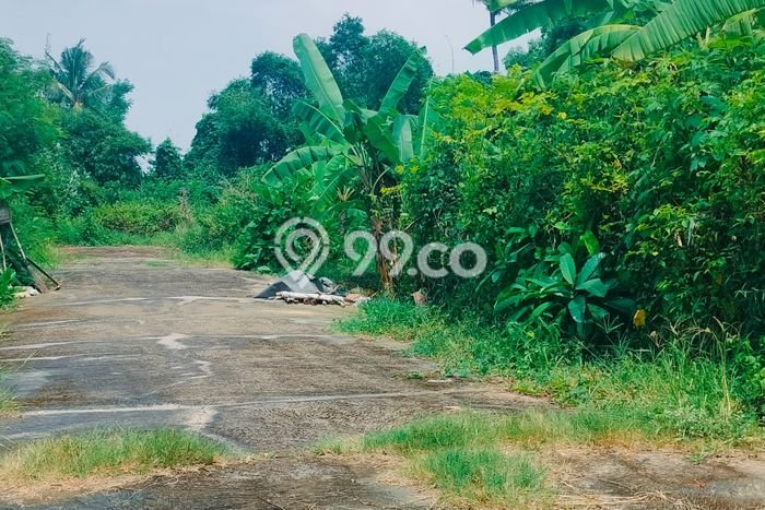 Lahan untuk Dijual di Sukasada Buleleng Luas 215m2 Lahan untuk Dijual di Sukasada Buleleng Luas 215m2