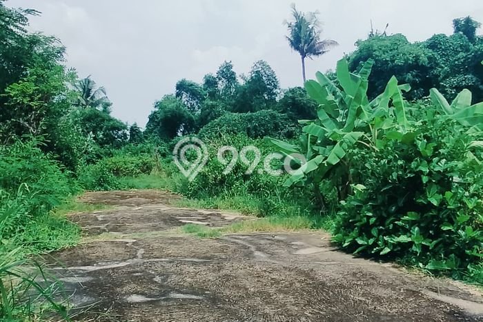 Lahan untuk Dijual di Sukasada Buleleng Luas 215m2 Lahan untuk Dijual di Sukasada Buleleng Luas 215m2