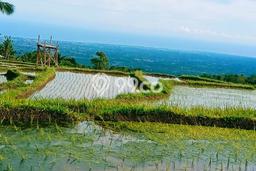 Dijual Tanah Lokasi Sambangan, Buleleng Seluas 3600m2 Dijual Tanah Lokasi Sambangan, Buleleng Seluas 3600m2
