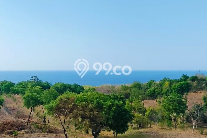 Tanah Kavling untuk Dijual di Kubutambahan Buleleng 2980m2 Tanah Kavling untuk Dijual di Kubutambahan Buleleng 2980m2