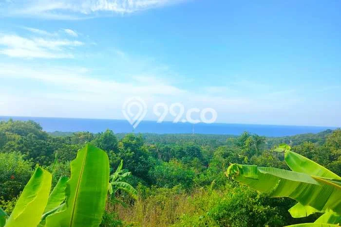 Tanah Kavling Dijual di Buleleng dengan Spesifikasi 3000m2 Tanah Kavling Dijual di Buleleng dengan Spesifikasi 3000m2