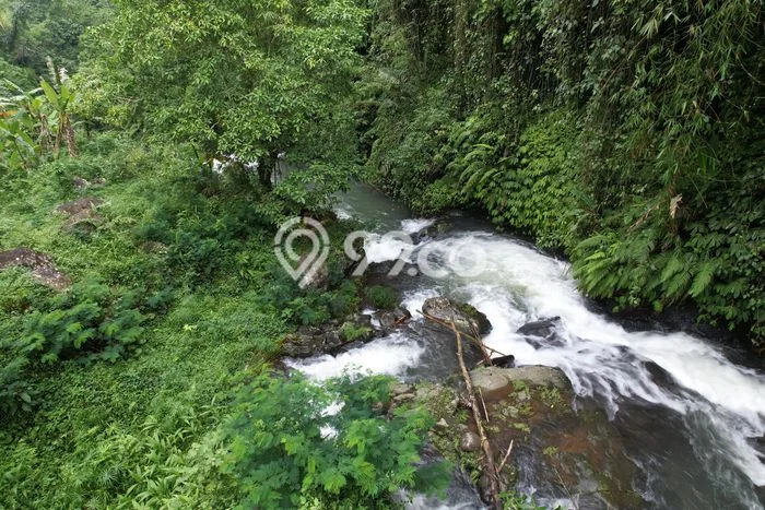 Tanah Kavling Dijual di Lemukih, Buleleng dengan Luas Tanah 9870m2 Tanah Kavling Dijual di Lemukih, Buleleng dengan Luas Tanah 9870m2