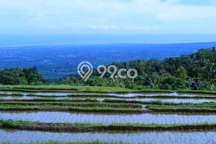 Dijual Tanah Lokasi Sambangan, Buleleng Seluas 3600m2 Dijual Tanah Lokasi Sambangan, Buleleng Seluas 3600m2