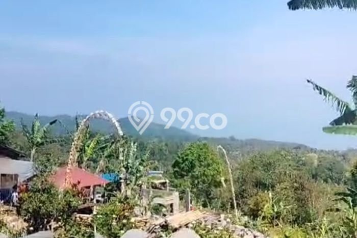 Dijual Tanah Lokasi Wanagiri, Buleleng Seluas 3900m2 Dijual Tanah Lokasi Wanagiri, Buleleng Seluas 3900m2