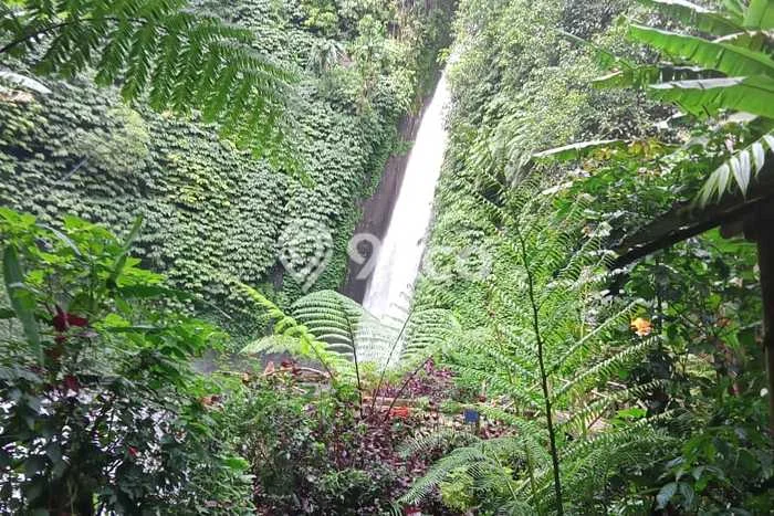 Tanah Kavling Dijual di Buleleng dengan Spesifikasi 10600m2 Tanah Kavling Dijual di Buleleng dengan Spesifikasi 10600m2