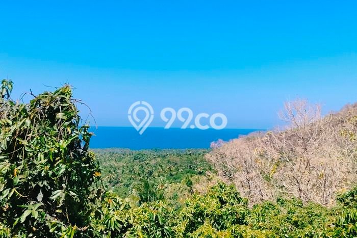 Kavling Tanah untuk Dijual di Madenan, Buleleng, Luas 2800m2 Kavling Tanah untuk Dijual di Madenan, Buleleng, Luas 2800m2