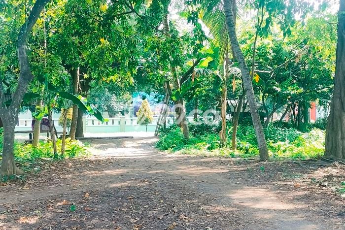 Tanah Kavling untuk Dijual di Kubutambahan Buleleng 3000m2 Tanah Kavling untuk Dijual di Kubutambahan Buleleng 3000m2